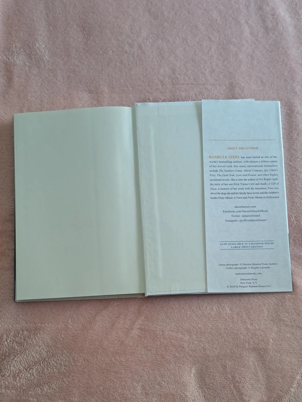 The Wedding Dress - Danielle Steel
